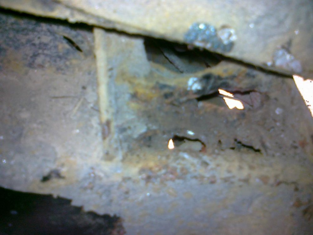 006.thumb.jpg.99e7e1297bf18db5fcd6614476c001a2.jpg