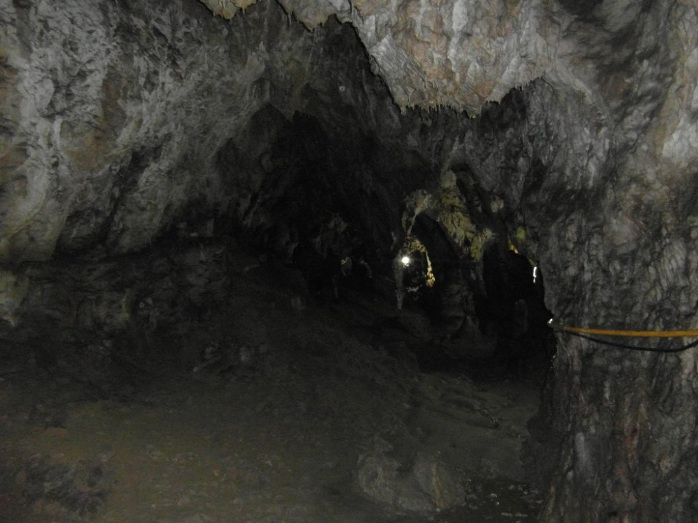 010.thumb.JPG.4b827d591c0f4e1f43402c05580d43df.JPG