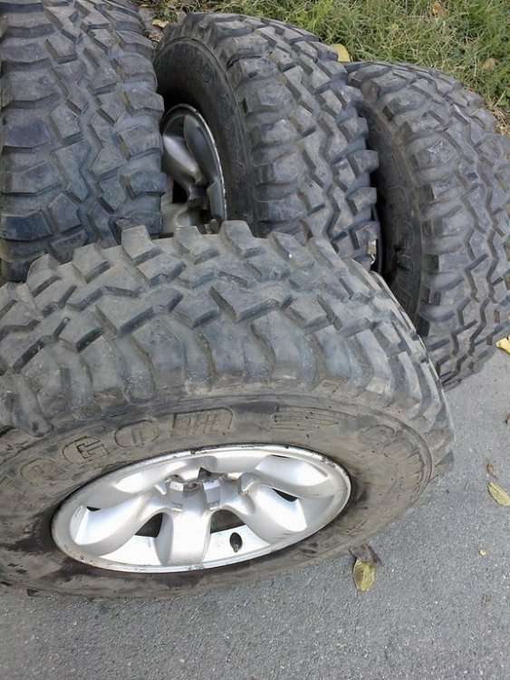 031120122151.thumb.jpg.b09b1a84fae11961ff1e6daae7194a84.jpg