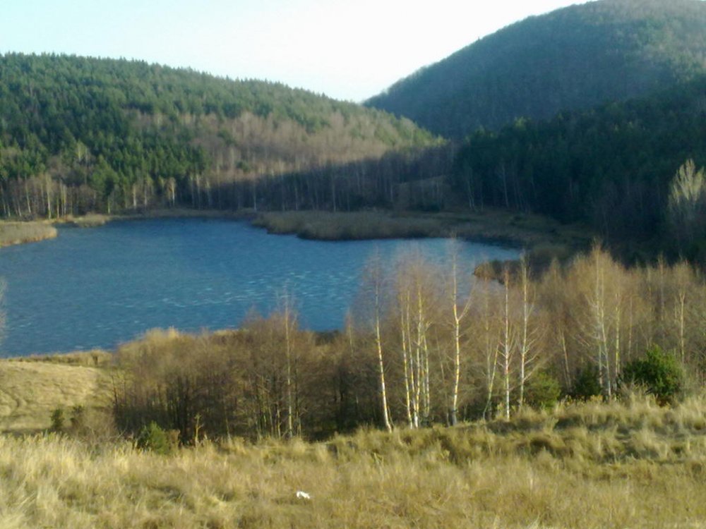 031220111113.thumb.jpg.f4aea288a65316f5a48a70419ffebf54.jpg