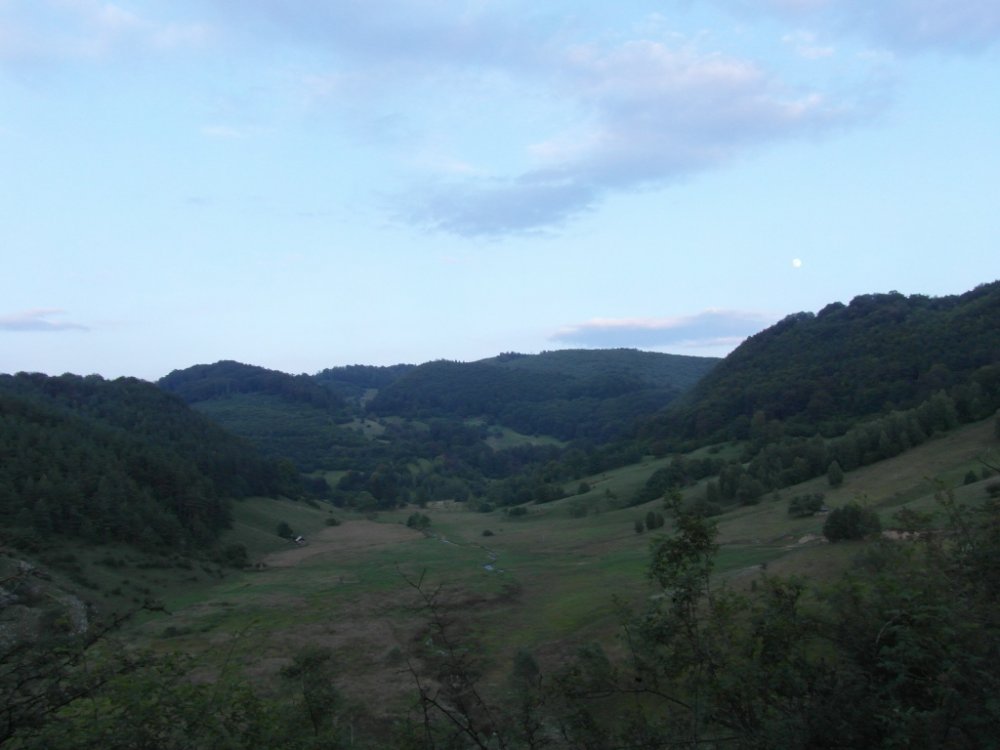 034.thumb.JPG.60aaeb69759cc6b8bfa311e49aa01a4f.JPG