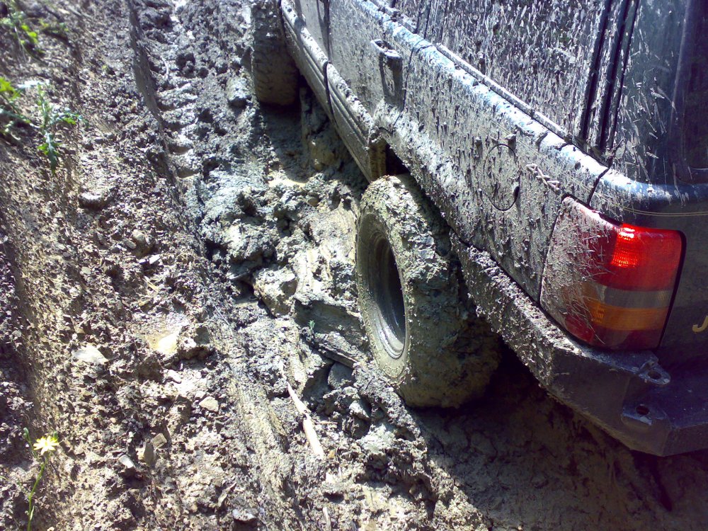 040720101966.thumb.jpg.fb06ecbb962cfb3421e4ad4785677ca0.jpg