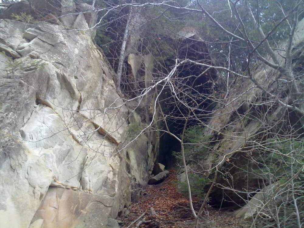 041220111142.thumb.jpg.13530d4fd8728820c24b42826b111fab.jpg