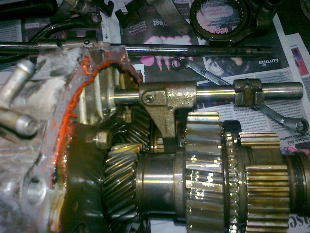 08102010137.thumb.jpg.298d3efe3a024a00120120a5c6b2e0b1.jpg