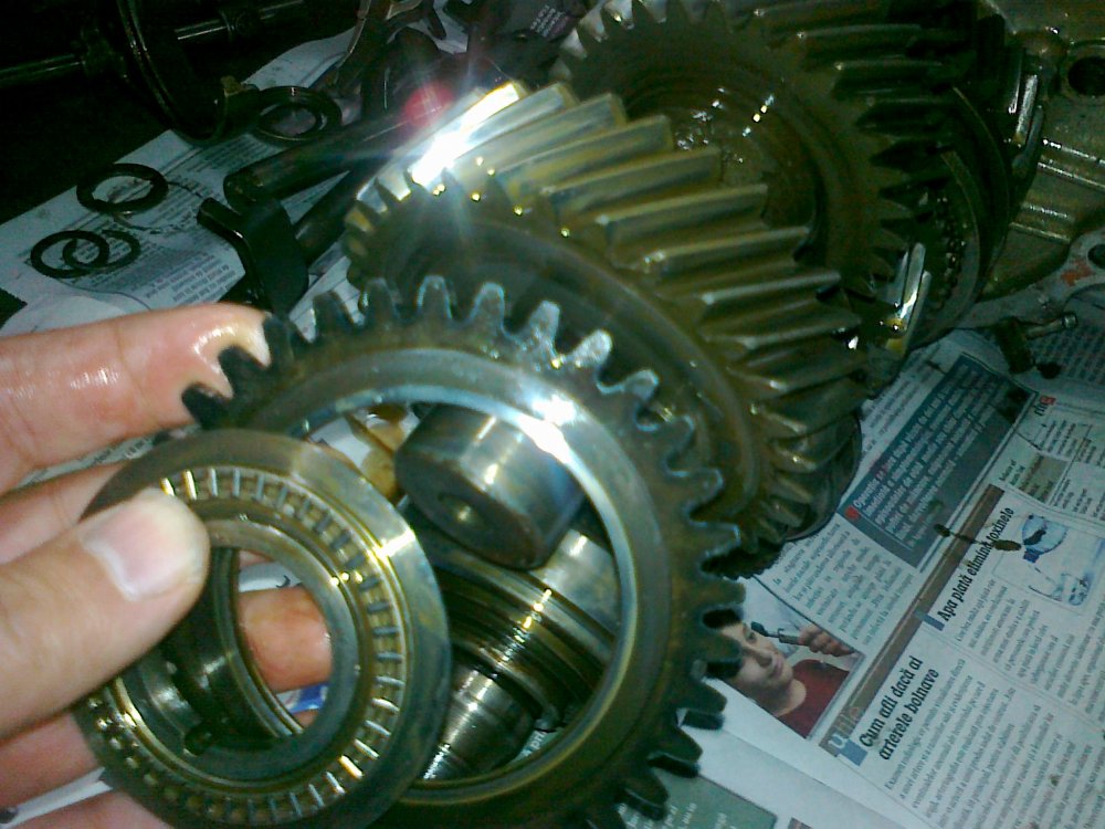 08102010150.thumb.jpg.fc506a9ae1503a2cde98fa65c33996a7.jpg