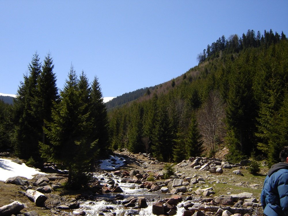 1.thumb.jpg.aa1cff5ae9d13e6805dedd366f9ab579.jpg