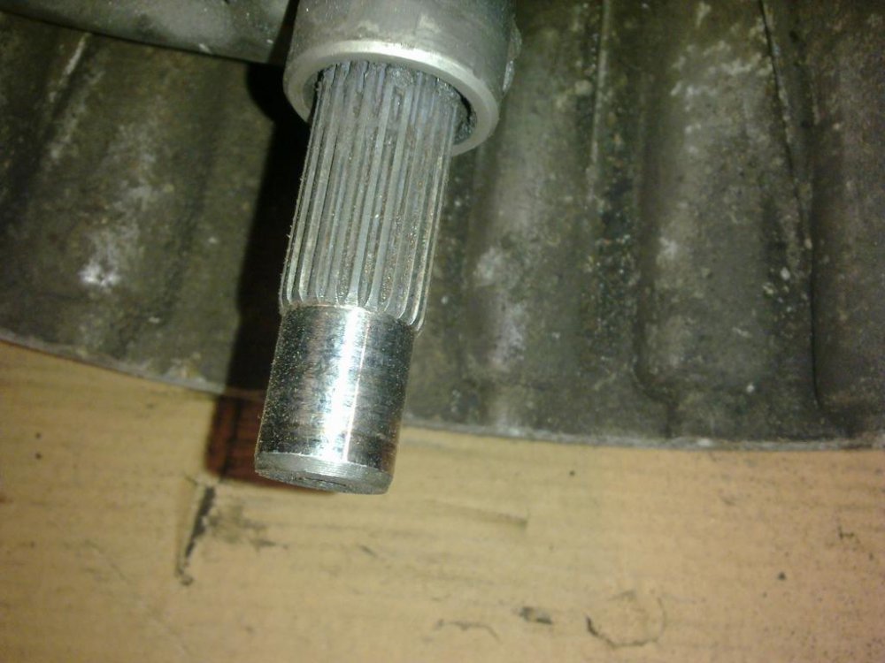 10022012811.thumb.jpg.18ecfa3ff3c7bc62a5d915497b16e317.jpg