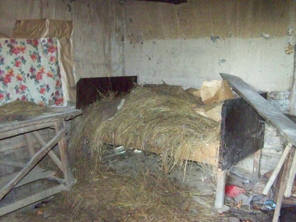 100_5550.thumb.jpg.11cf5dea07a573031f6c1e8d0c183afa.jpg