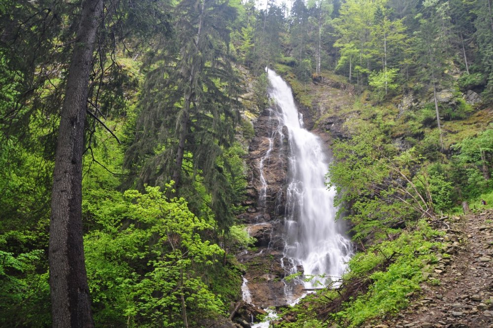 1018715884_DSC_9429(1280x850).thumb.jpg.6e03794cf5f0df5cf3ed7d26a943a8eb.jpg