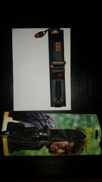 1023552713_Picture001.thumb.jpg.e178dd4e4fec4f5e75ce7cf916b91b2a.jpg