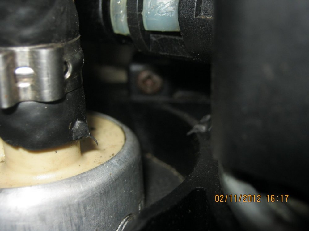 1061554863_IMG_01721.thumb.jpg.2ea3f9bbba46b9e01fb852a37be346dd.jpg