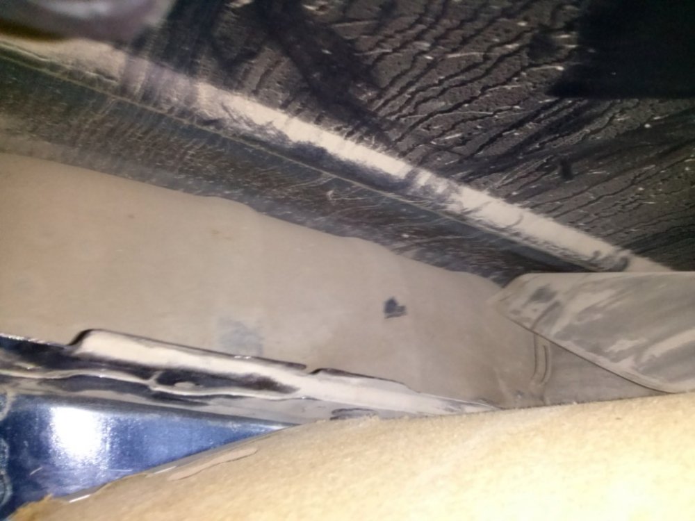 106397382_CAM01385(Medium).thumb.jpg.97eff319be2fa5494d2e6851368e22e5.jpg