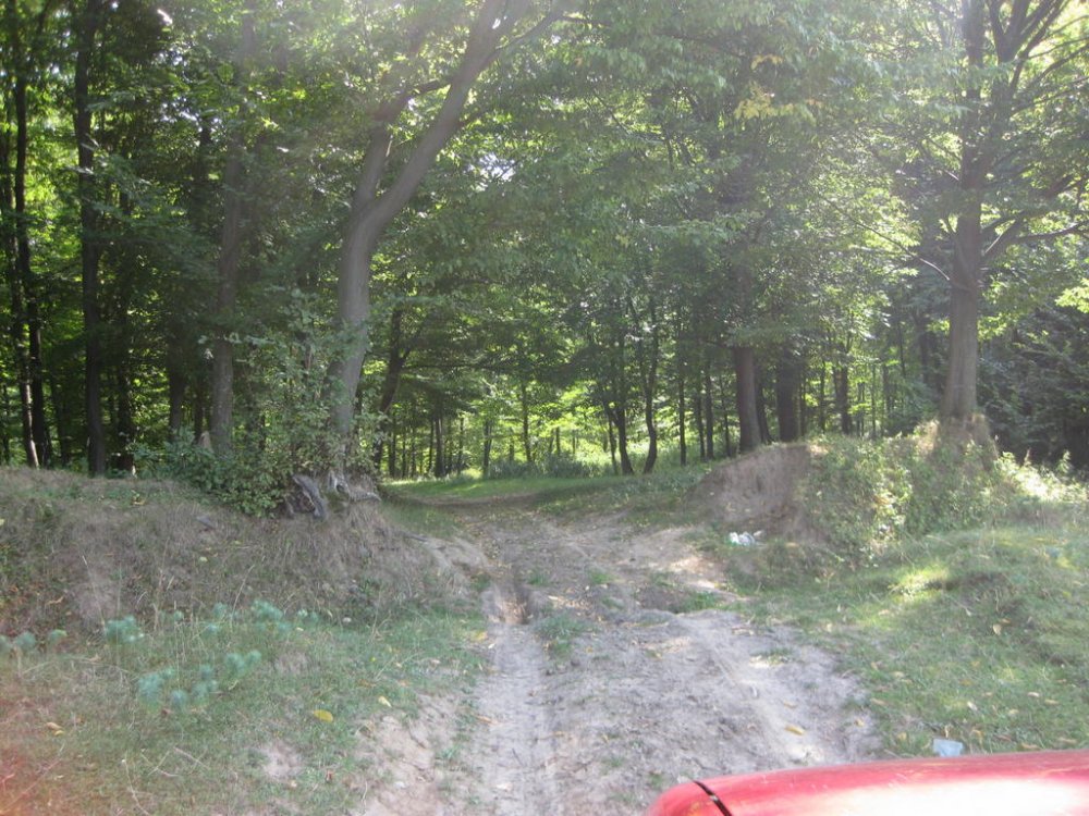 1083170730_Picture190.thumb.jpg.d13e0d92151c86ac1ee767dc91b56e0a.jpg