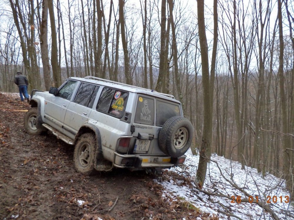 1086375250_DSC00446(Medium).thumb.jpg.73cfa825a4502787245e39f4346743af.jpg
