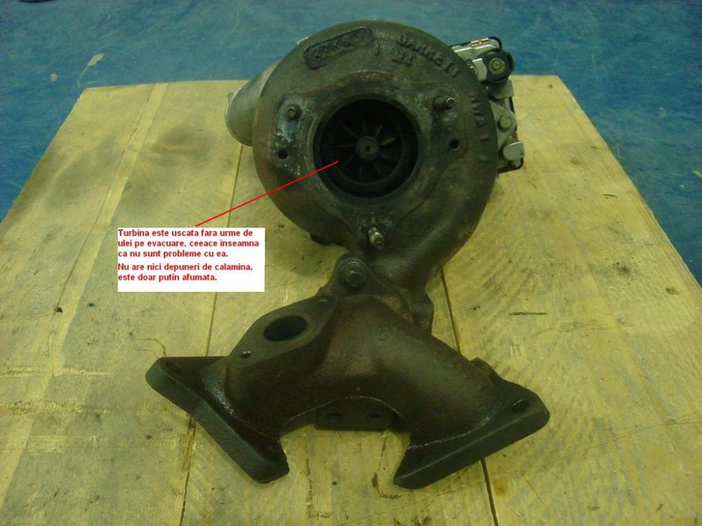 1091401764_Turbo1.thumb.jpg.dc408a86735a8b87db94fdcdde5be09b.jpg