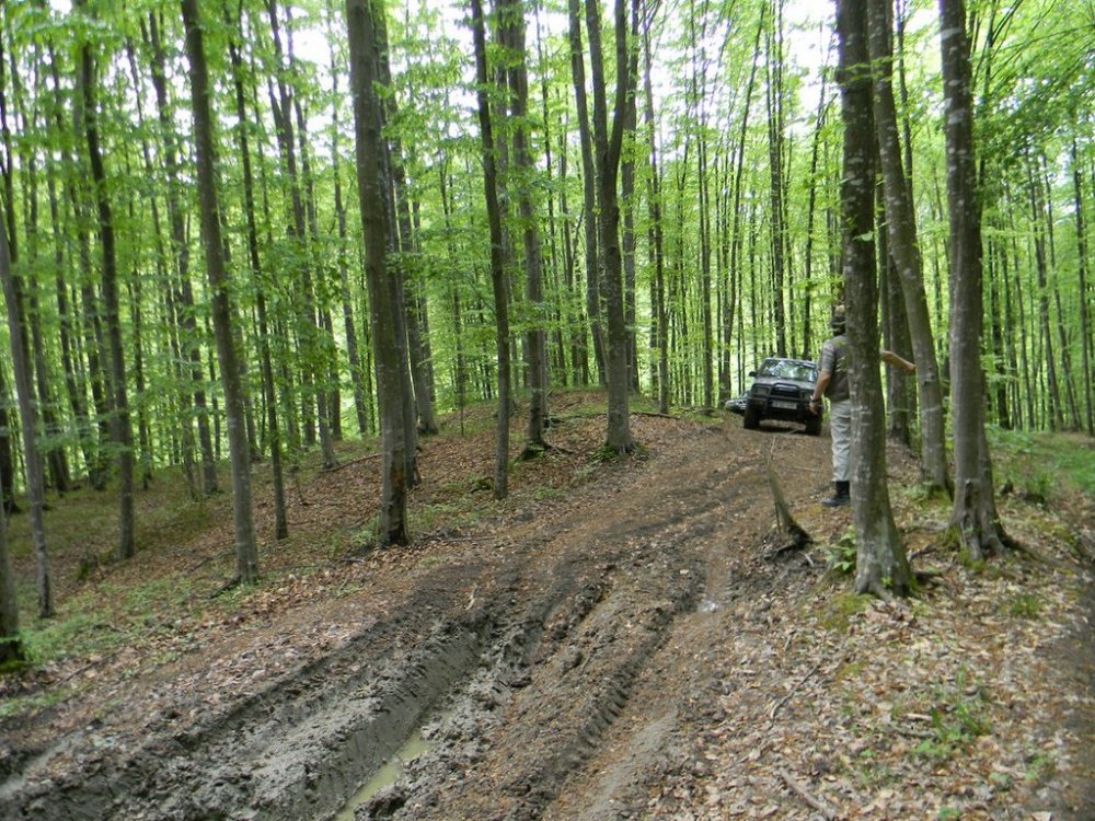 1104092462_DSCN1547(Copy).thumb.jpg.621303d71cfc0e2709bb0f860cab880e.jpg