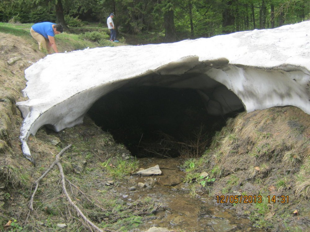 1122930328_Picture720.thumb.jpg.65b5937d104900a36e12e738541abce0.jpg