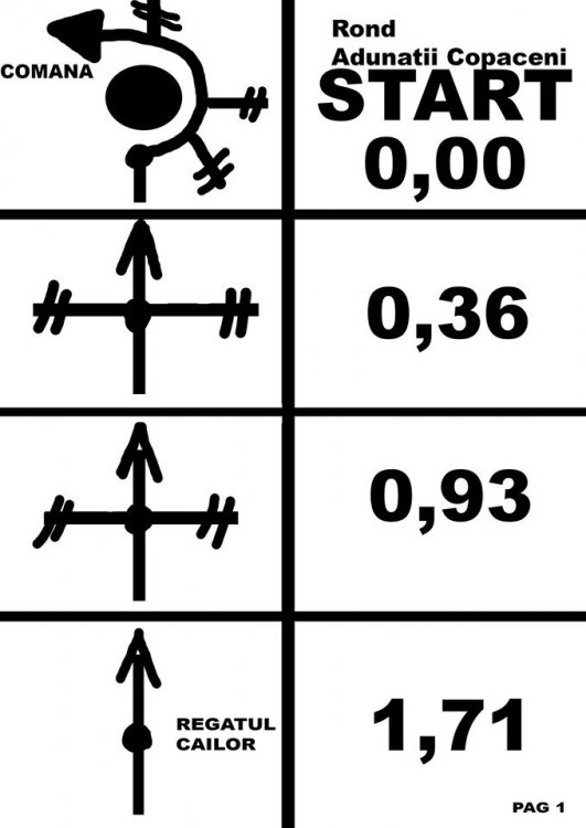 11823008_10205058887734973_8051202146003246877_o.thumb.jpg.85b4eb36989cb17b653d14665e5949d1.jpg