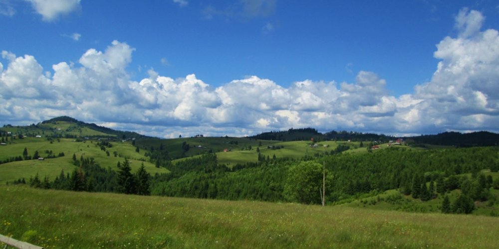 118633741_IMG_1033(1024x512).thumb.jpg.d9729b548691459a81bfbeb83ec66e48.jpg