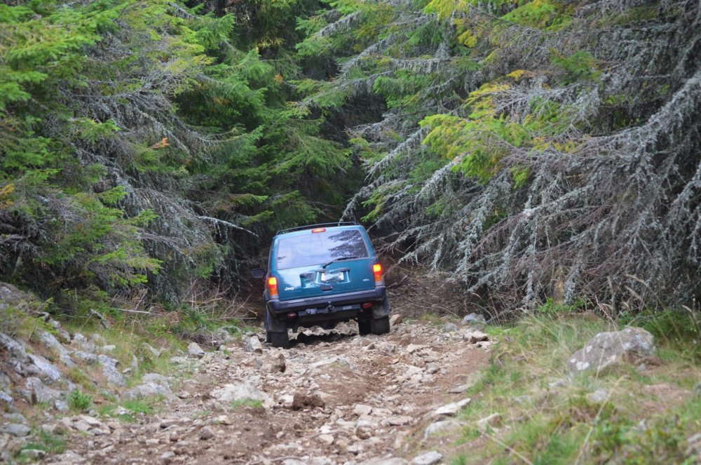 11950204_10206343345280253_4443617376815458469_o.thumb.jpg.21ca757cac7e644571995e05ee8c6ad4.jpg