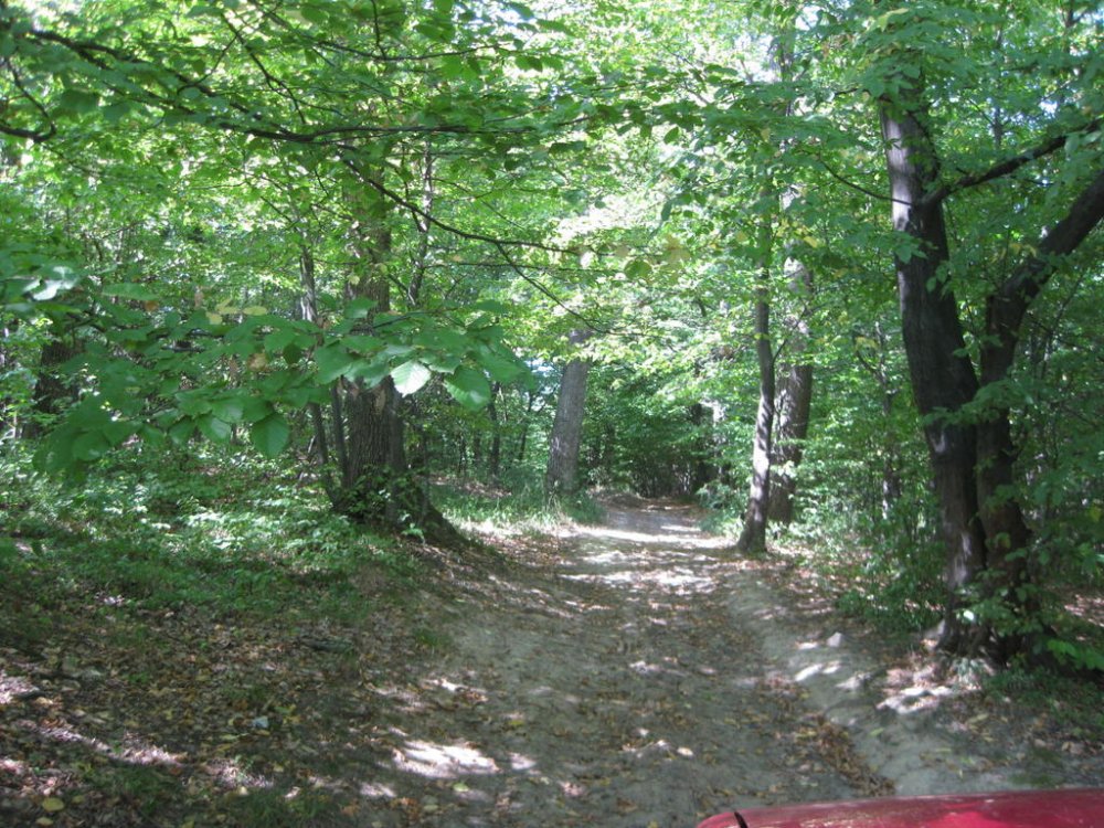 1199234328_Picture170.thumb.jpg.c13543de2bcd216dc92d7b25733c7e79.jpg