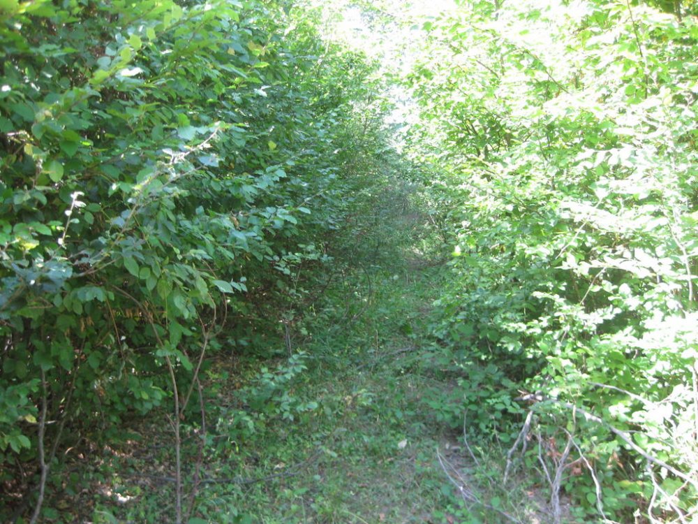 1286779302_Picture108.thumb.jpg.466178f5069894217b8dd2ee1280a415.jpg
