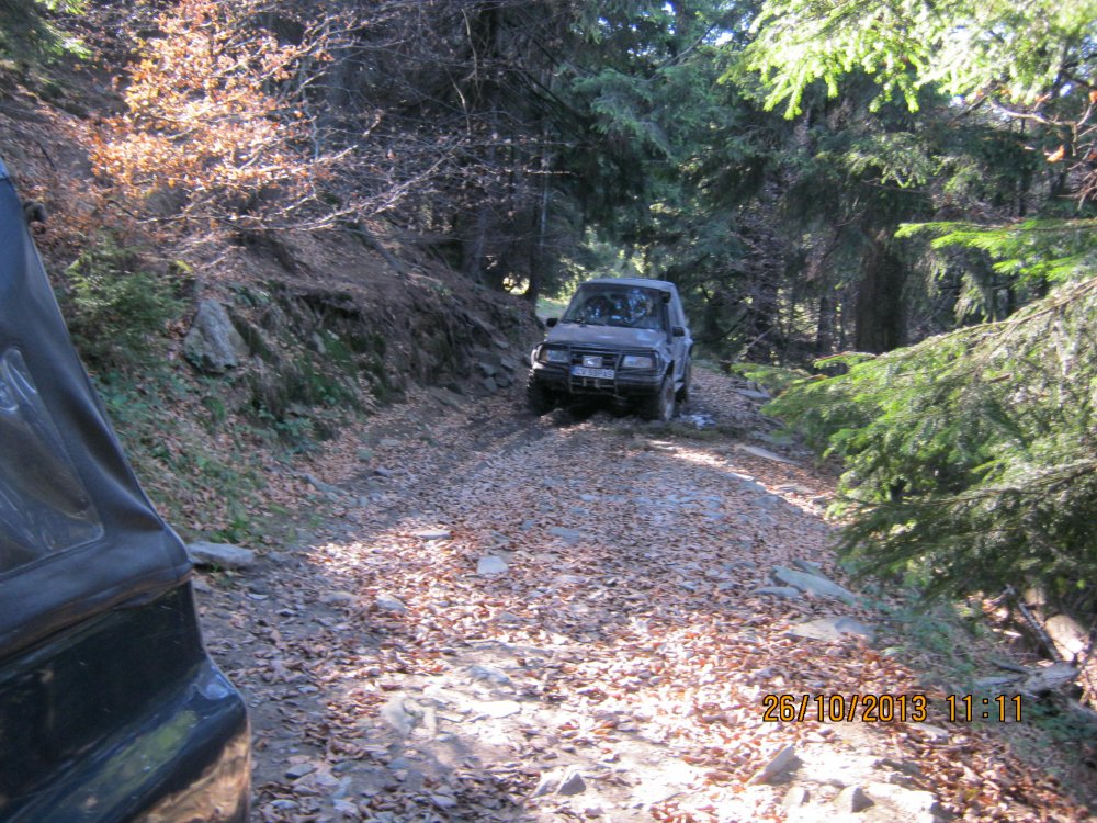 129703924_Picture358.thumb.jpg.a5e514cb56e1dbf734900ab59cbc74bc.jpg