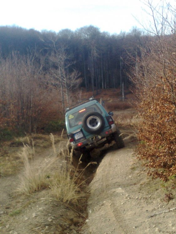 131120102685.thumb.jpg.1031c93326994ea7908fe46f6579ac2f.jpg