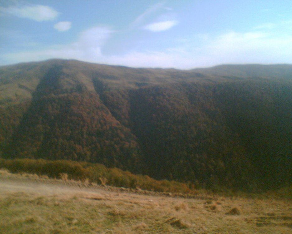 1369211282_Djstone002.thumb.jpg.d973b4d13a0a7199222786d2ce80b551.jpg