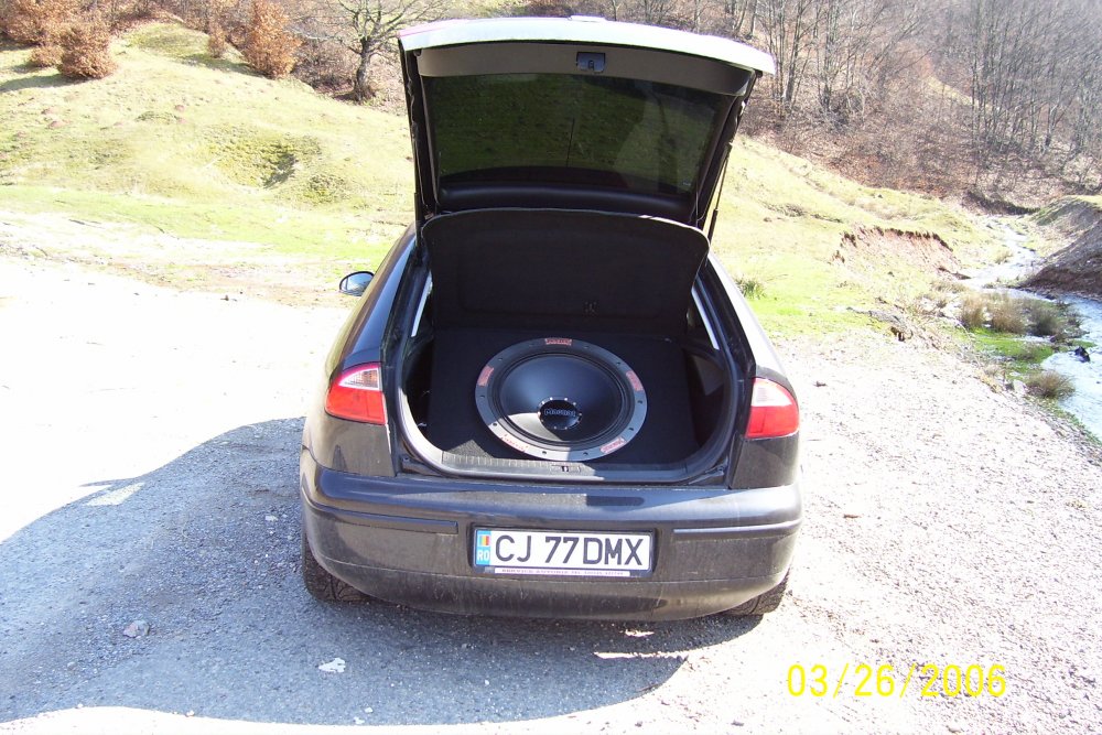 1387855960_myleon.thumb.JPG.5bf03034a414d12f7769be4adc37f504.JPG