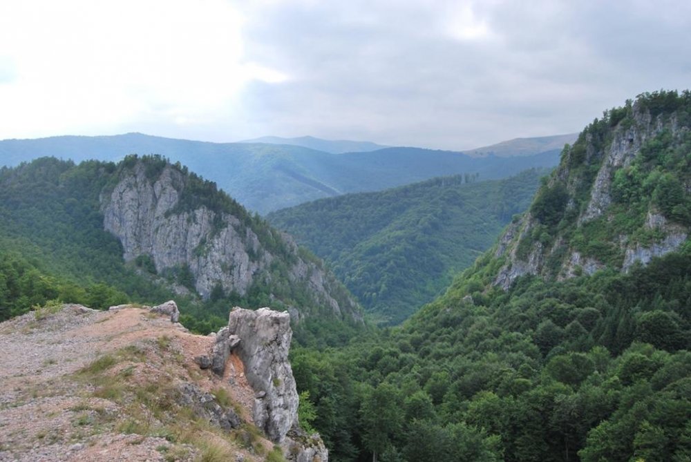 1411541731_DrumuluBasescu010.thumb.jpg.e4ce3cef8cba1c32a472bdfe1baa360d.jpg