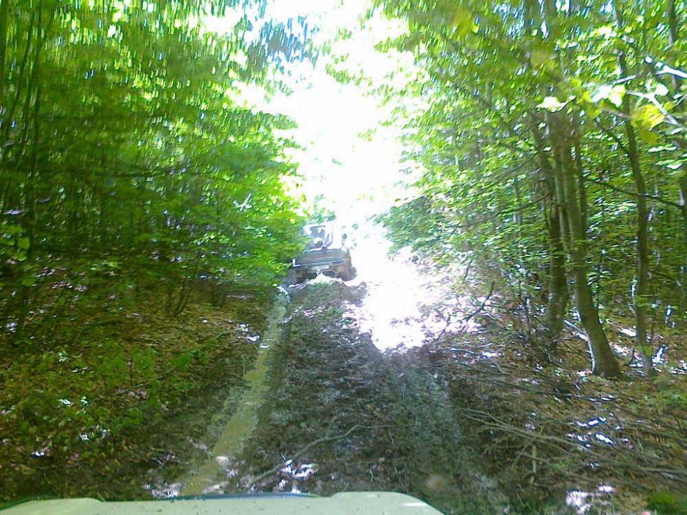 1417479543_tablaB.L.Vulturilor100612012.thumb.jpg.24c99ebebf9b4cac5c825440e1aba46b.jpg