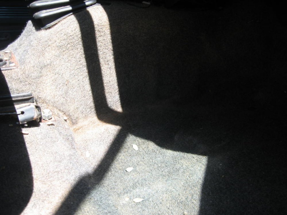 1440279150_26_06.2011269.thumb.jpg.d3ab8e24be0412c6c2cf74dba73ff05d.jpg