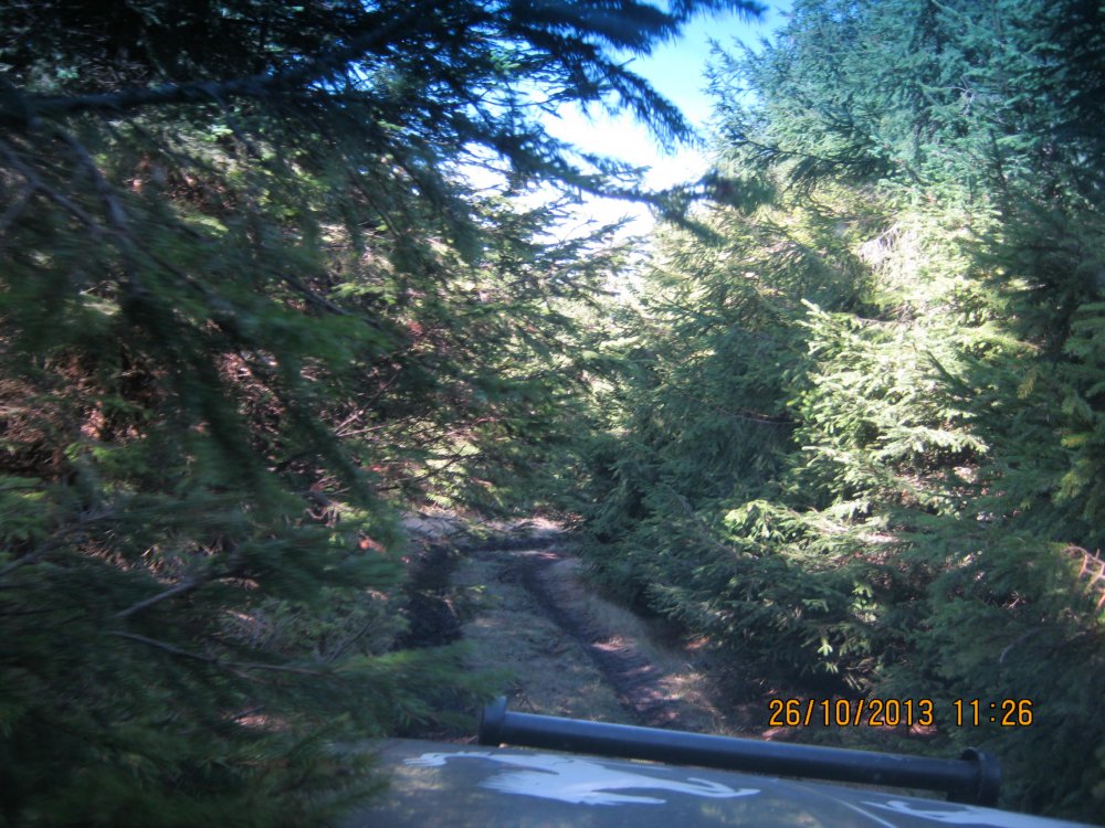 1462840371_Picture366.thumb.jpg.45921debcfb27f3f41301fc1c58a0ef8.jpg