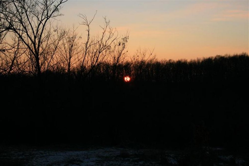 1484817568_IMG_6369(Large).thumb.jpg.748688e5905da2c259a7e3df8ec6aa7c.jpg