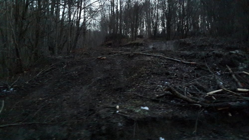1510106500_OFFROADiesire28dec2013(20)_1600_900.thumb.jpg.02813af15fbbc655ae3b77ca15557863.jpg