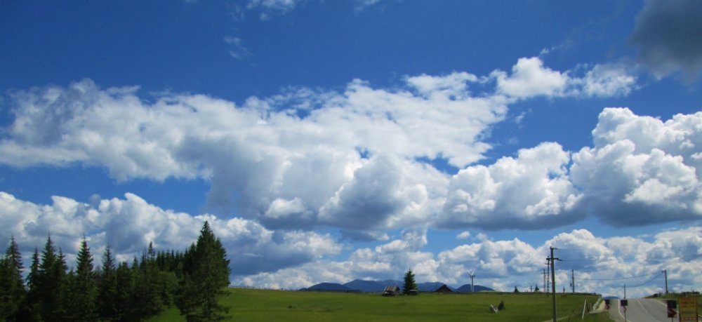 152636677_IMG_1022(1024x469).thumb.jpg.33ae6ed40ae17fc7cabe947378f0e1c2.jpg