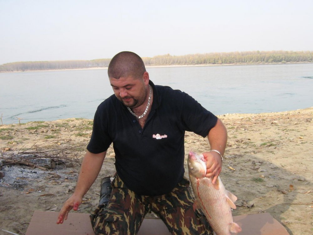 1547503311_DANA098.thumb.jpg.c532f633e2c381a5c95abae5cd05e34f.jpg