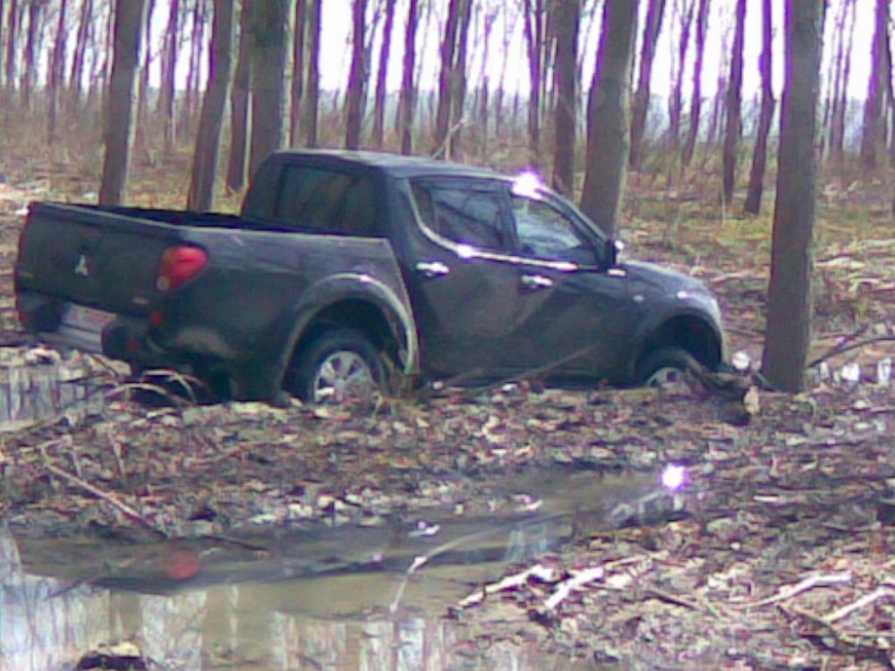 1553902369_pozel200042.thumb.jpg.e8da045cb3da845920119bf7f4961a34.jpg