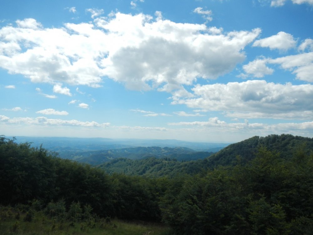 1558595154_tIbles(1.).thumb.JPG.f90ac02df66f29e53ac8016a5301be88.JPG