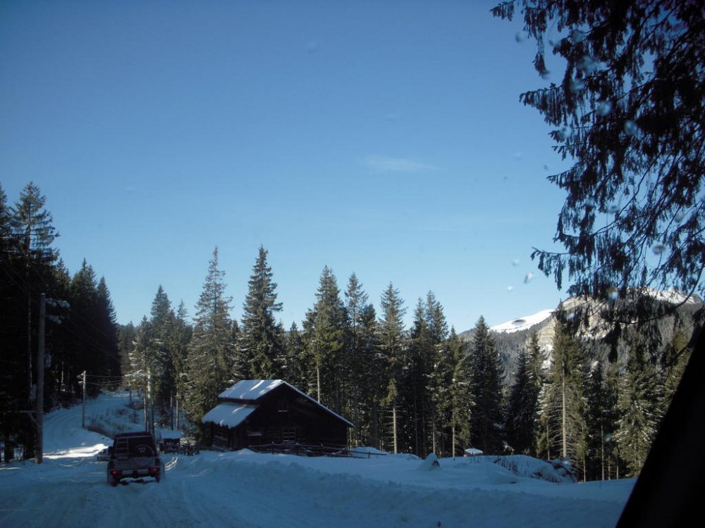 1584939408_coolpix195.thumb.jpg.4c02166c602158d1b247ca0679b28ff5.jpg