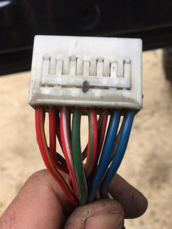 1587863579_IMG_4284(Medium).thumb.JPG.d8ae095d45792ac37725d09197041cff.JPG