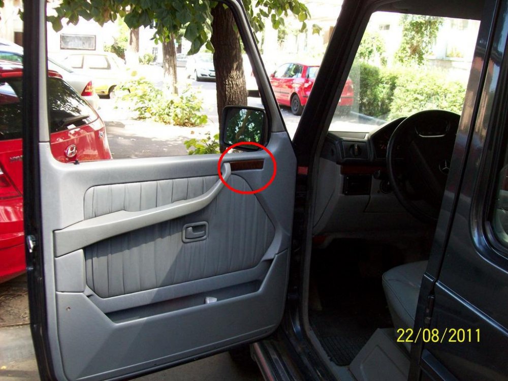 1595751763_Ornamentusa..thumb.jpg.9e5e1dc93bc6112866fdd856ab56e745.jpg