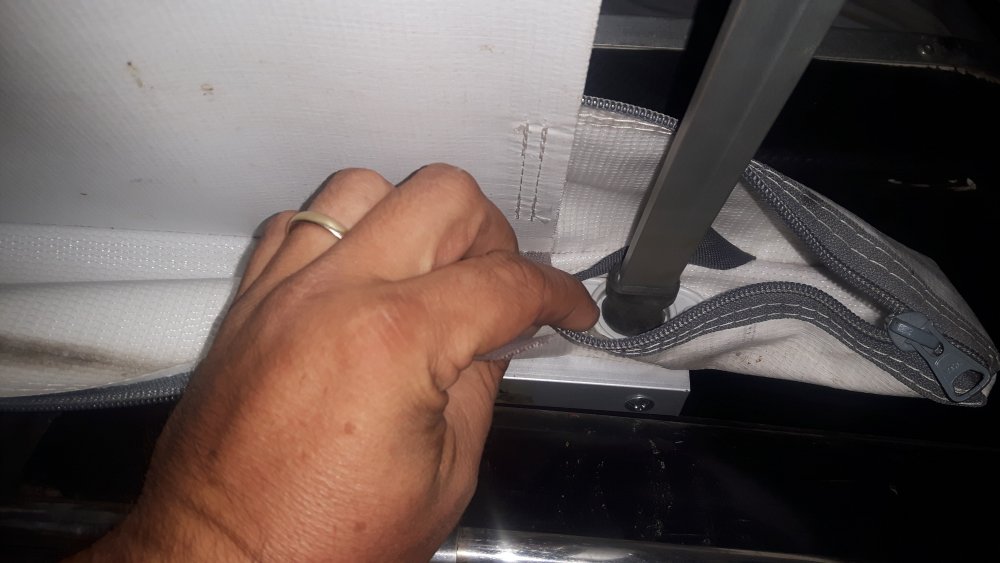 1602575493_20190706_2151521.thumb.jpg.1f884899b88431bdc2244afeea77a800.jpg