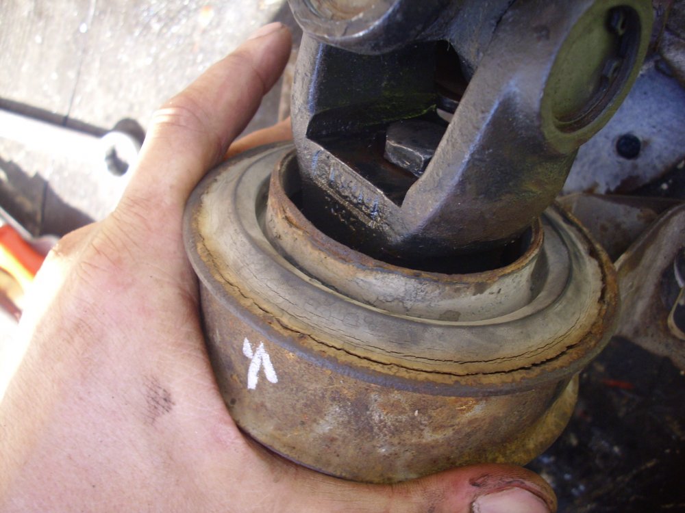 1646497554_fata2.thumb.JPG.18177ac436bc13e74951421407611cdc.JPG
