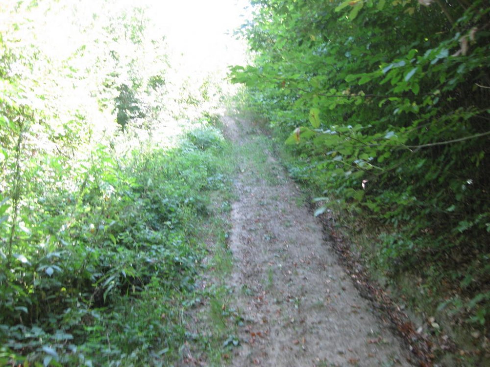 16496328_Picture103.thumb.jpg.df648b6cebb7c3429a7ab0917b728511.jpg