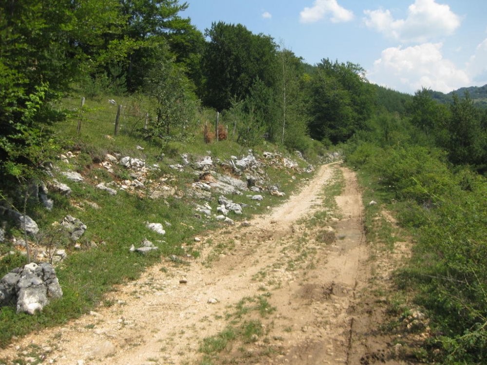 1662925971_Daci197.thumb.jpg.e2e4852c7d92778ba51632f018f7a36b.jpg