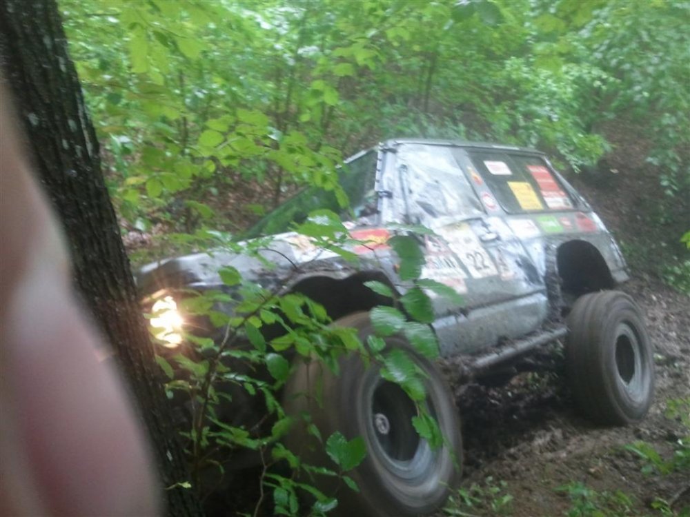 16639718_2012-05-1910_58.30(Medium).thumb.jpg.1f0d4d602e16b0bc3c47002d95f0d552.jpg