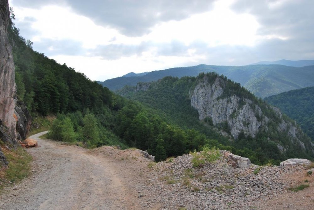 1706785298_DrumuluBasescu022.thumb.jpg.447afae310a4b722a6b9fd37d15ba7de.jpg