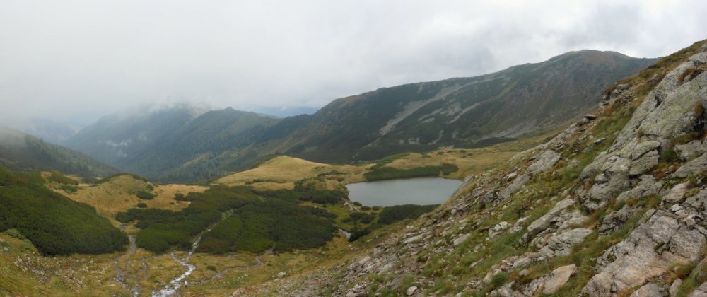 171903978_Panorama2.thumb.JPG.1f8c9b2dd2a42f6300f3bf19a593647c.JPG